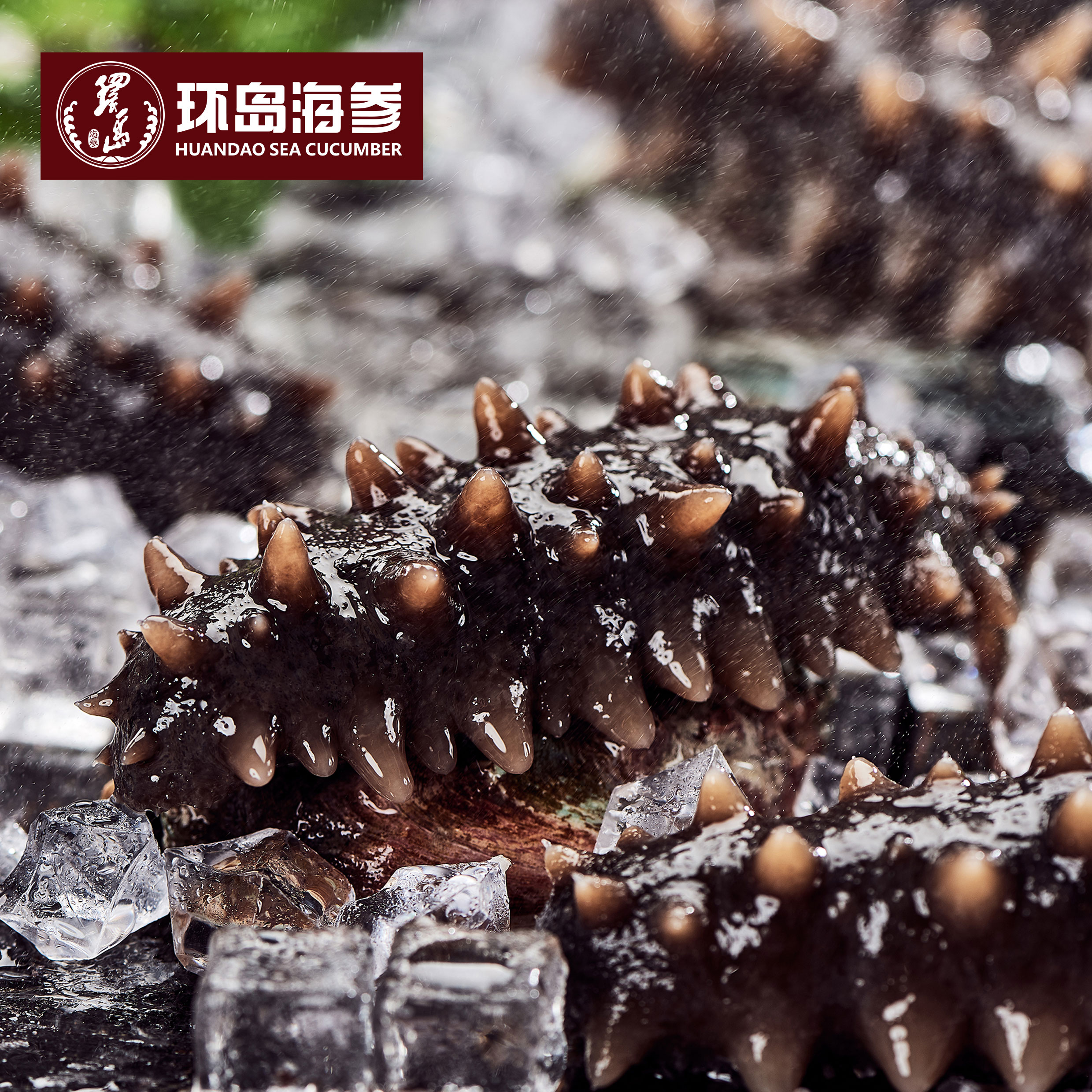 mg冰球突破(中国区)官方网站
