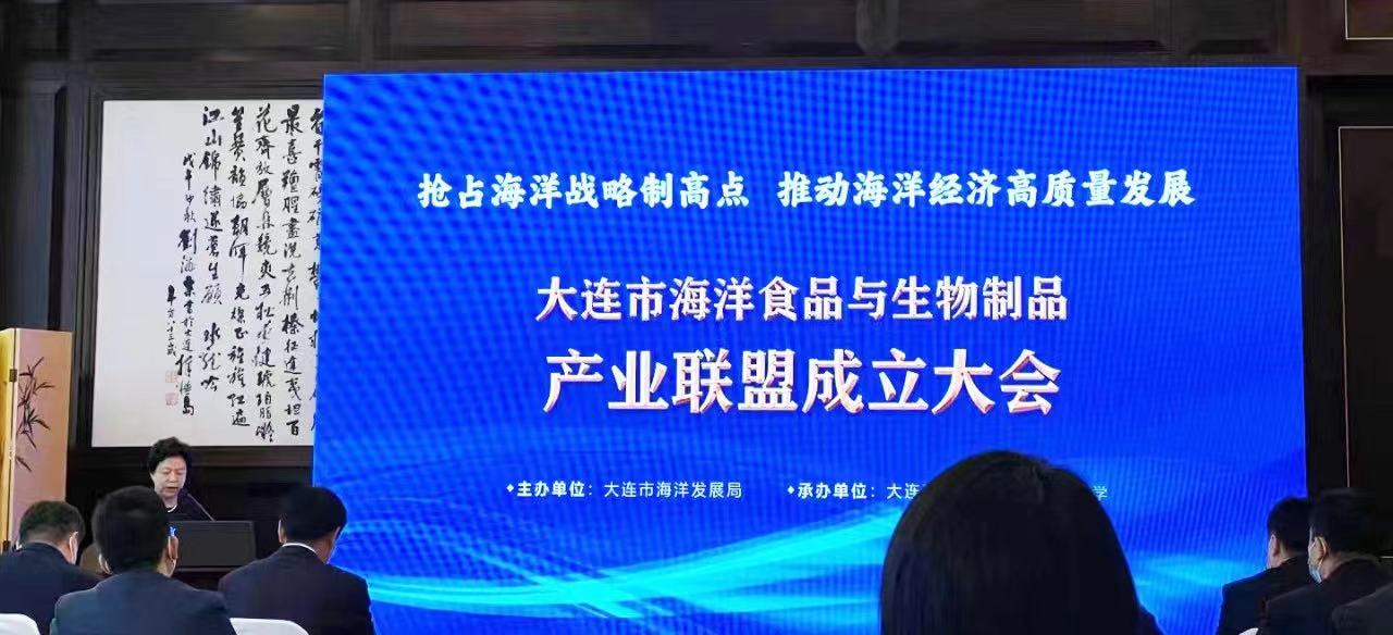 mg冰球突破(中国区)官方网站