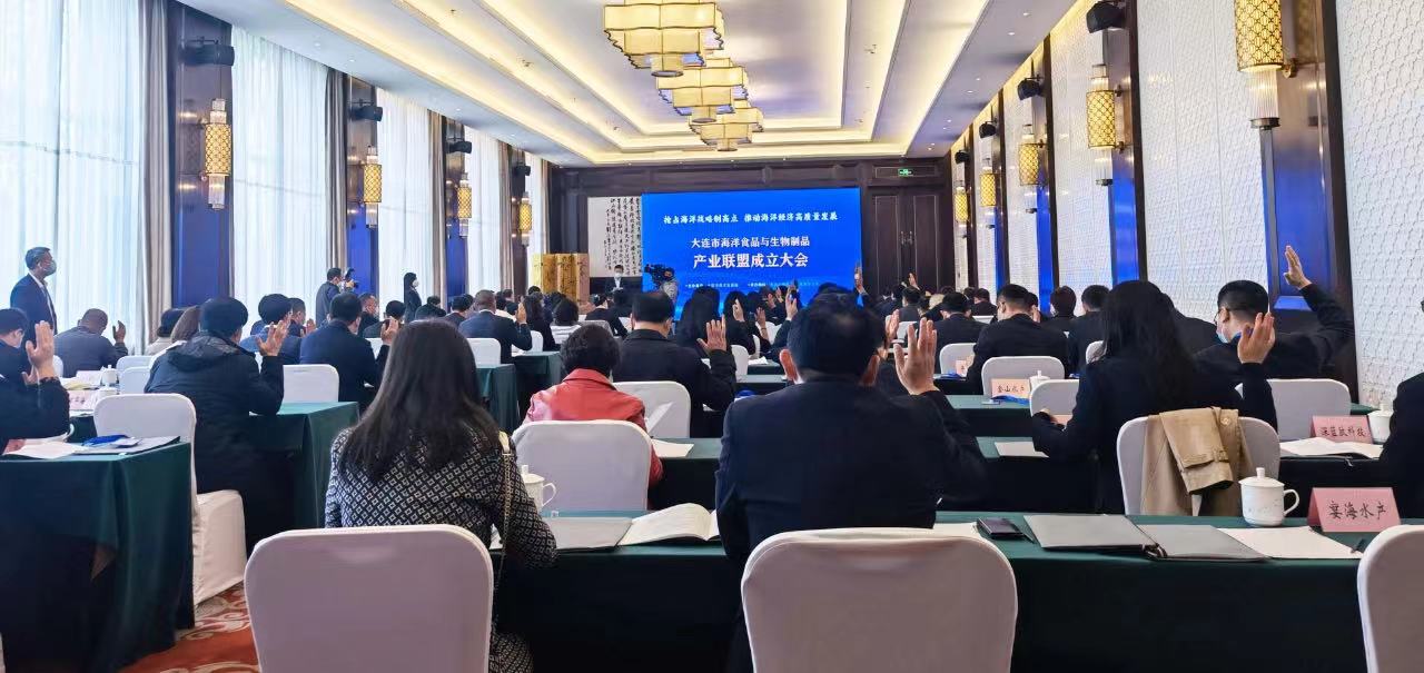 mg冰球突破(中国区)官方网站